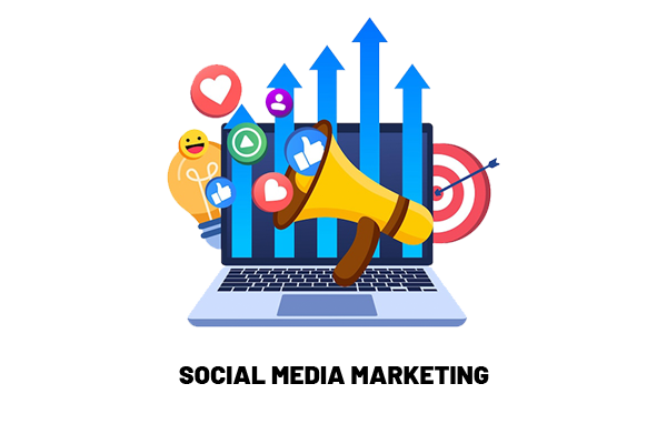 Social Media Management